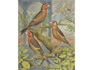 Goldfinch and Canary Mule (Large Piece)