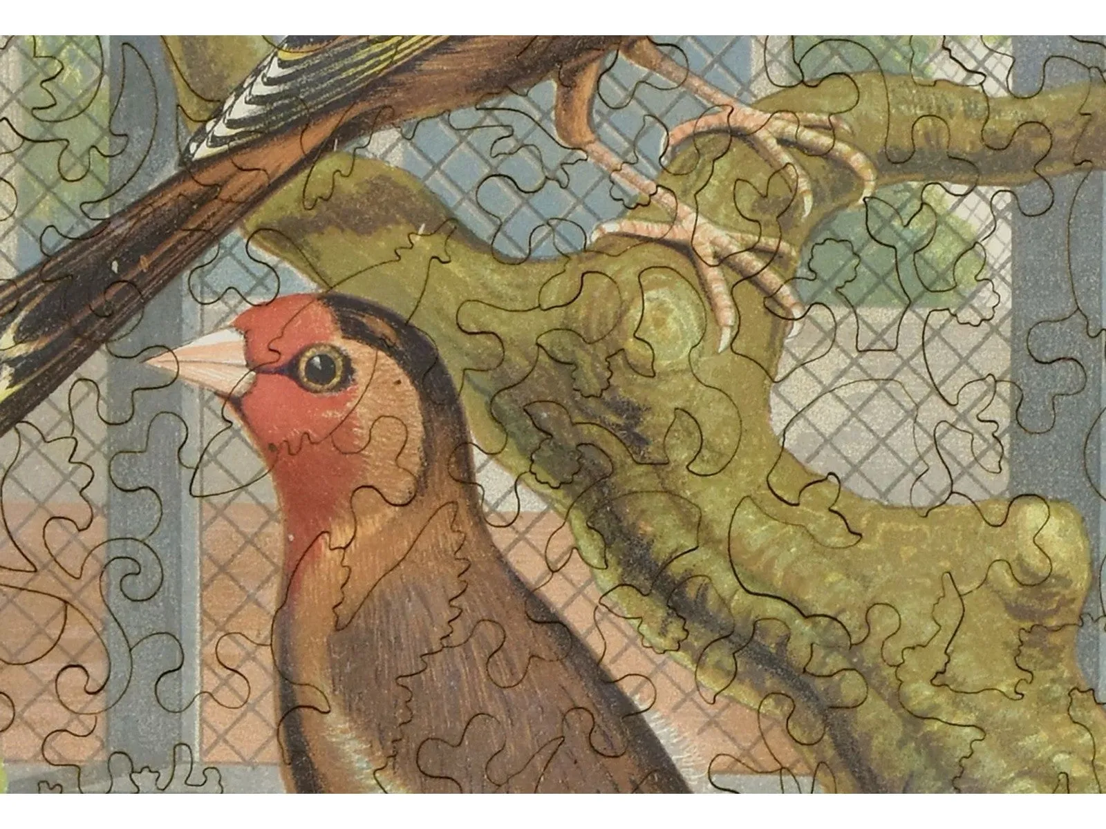 Goldfinch and Canary Mule (Large Piece)