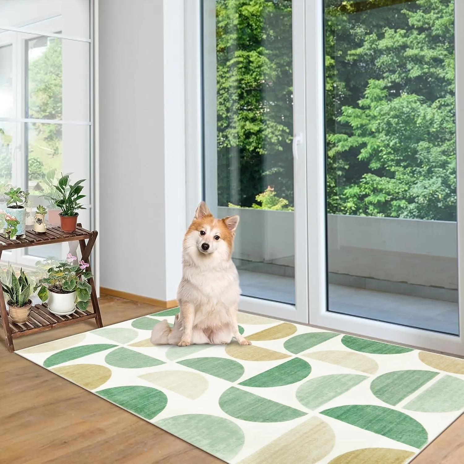 Lahome Boho Area Rug for Bedroom-3x5 Green Rug Soft Ultra-Thin Classroom Modern Washable Rugs Distressed Non Shedding Dining Carpet for Kids Nursery Room Office, Green