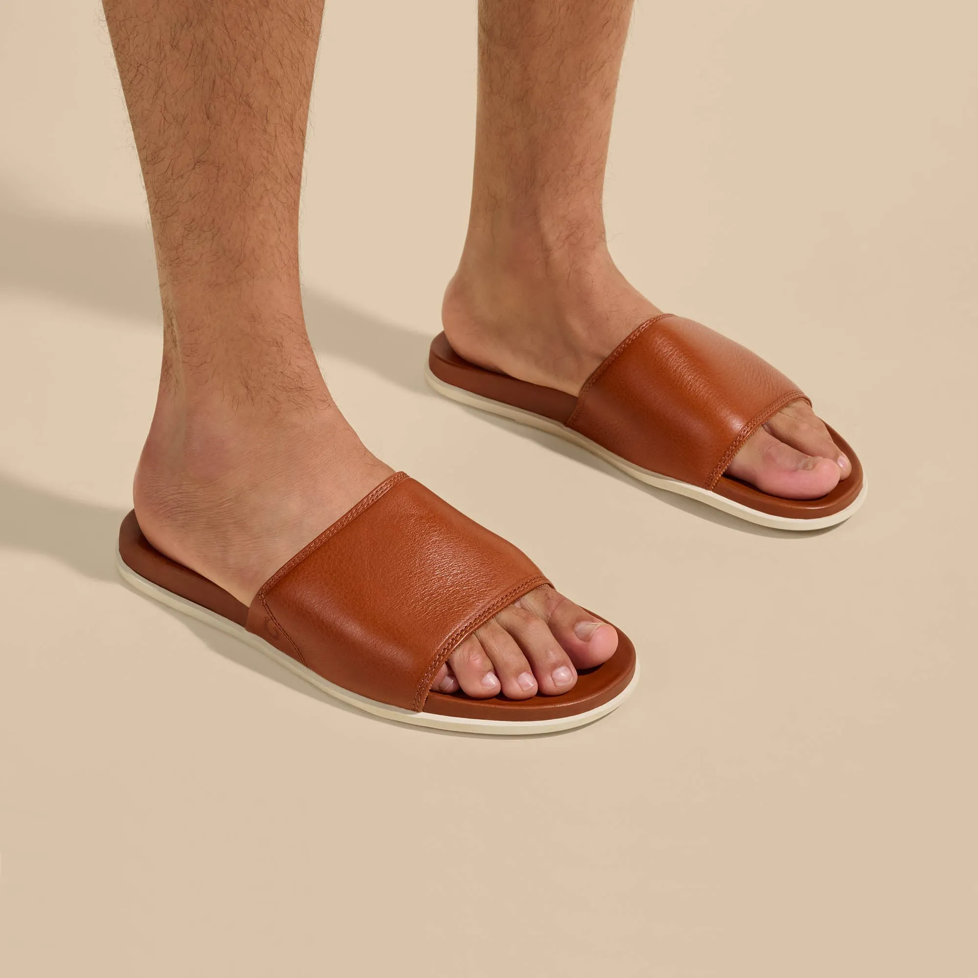 ‘Ōlali Slide - Fox