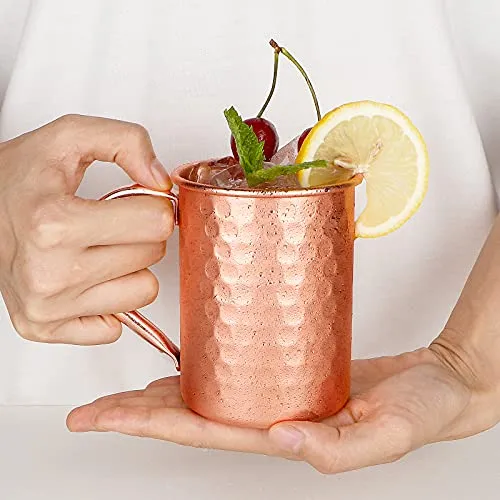 Moscow Mule Mugs Set of 2, 13 oz Advanced Mixology Cocktail Copper Cups Drinkware Mug for Gift