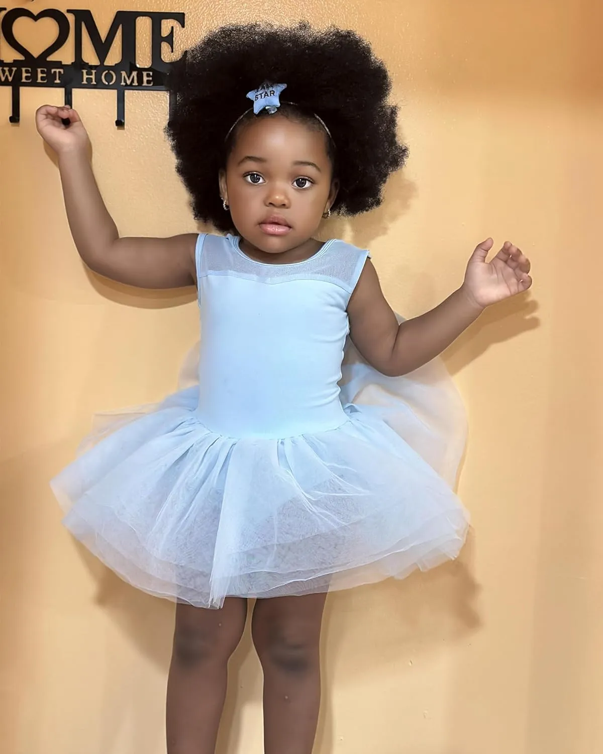 Stelle Ballet Leotards for Girls Toddler Leotard with Tutu Skirt Dance Tutu Dress (Little/Big Kid)