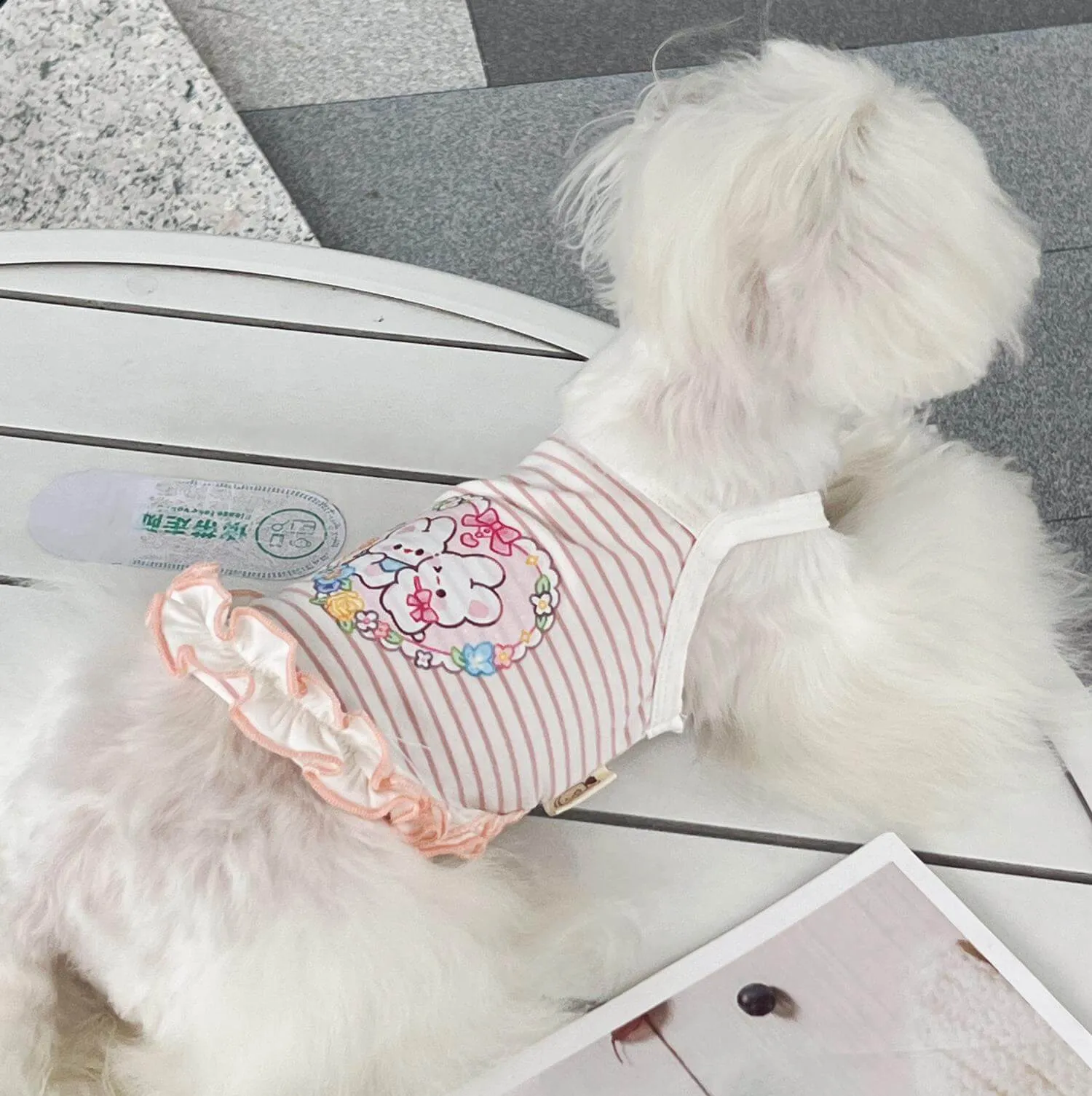 Summer Outfit for Dogs
